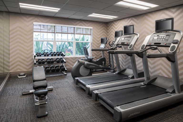 Modern fitness center with treadmills, elliptical machines, dumbbells, and large windows overlooking palm trees