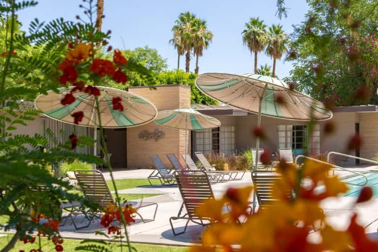 Desert resort pool surrounded by large umbrella shades, lounge chairs, palm trees, and flowering plants