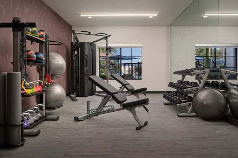 Modern fitness center with exercise equipment, dumbbells, mirrors, and large windows overlooking the grounds