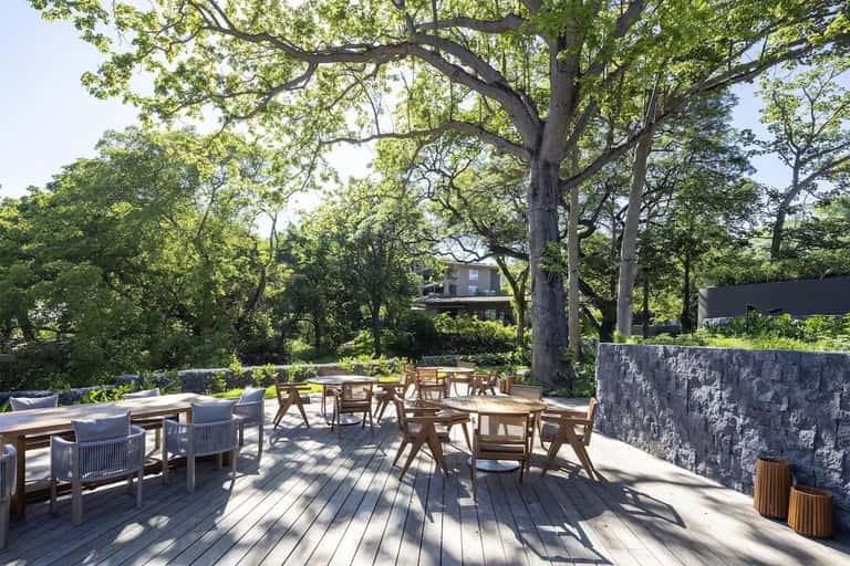 Outdoor dining terrace with wooden furniture and large shade trees in a resort garden setting