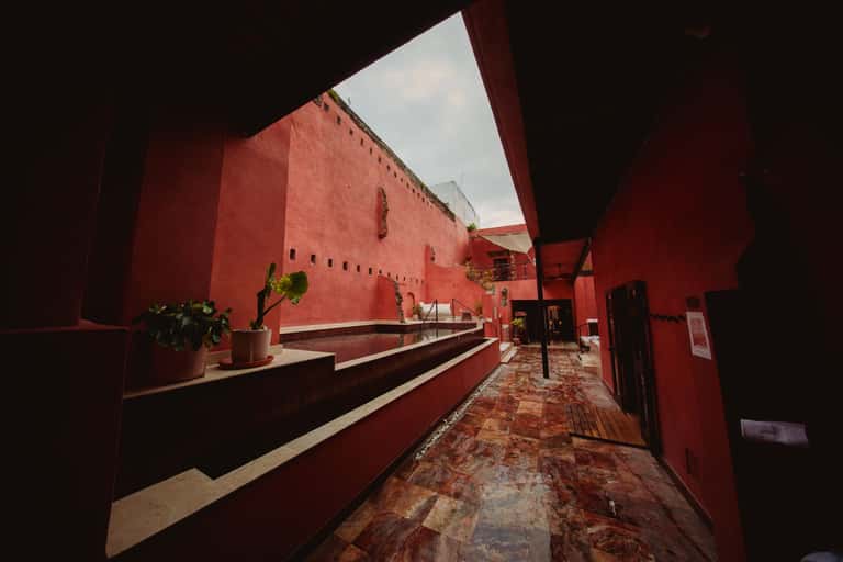 Red corridor with natural light, wooden flooring, and potted plant details