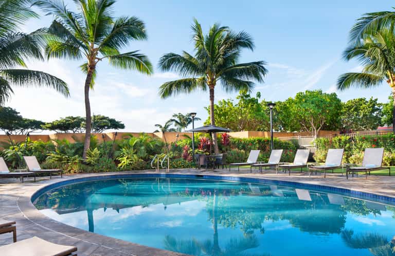 Curved outdoor swimming pool surrounded by lounge chairs, palm trees, landscaping, and tropical gardens under clear sky