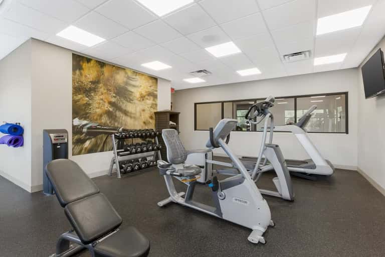 Bright fitness center equipped with exercise bikes, free weights, weight rack, and large windows for natural light