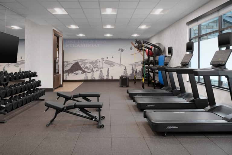 Modern fitness center with treadmills, dumbbells, weight benches, and ski resort wall mural