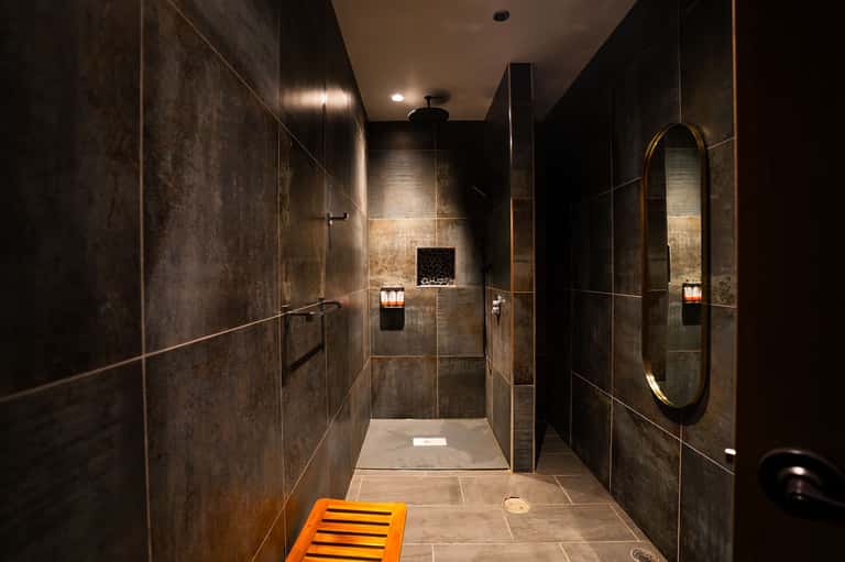 Contemporary spa shower with dark tile walls, rainfall showerhead, and decorative lighting accents