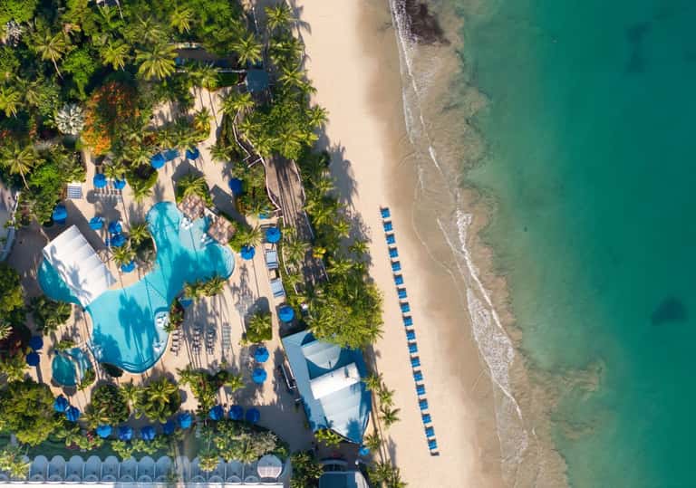 Aerial view of beachfront resort with curved pool, palm trees, and pristine turquoise ocean