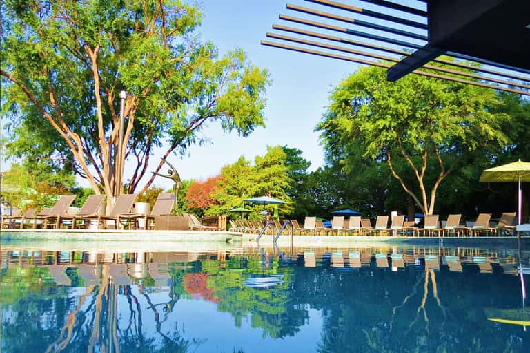 Resort pool surrounded by lounge chairs and large trees with modern pergola structure on right side