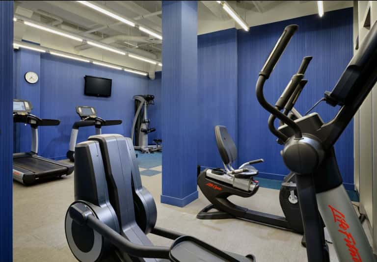 Modern gym with blue walls featuring cardio equipment including stationary bikes and elliptical machines