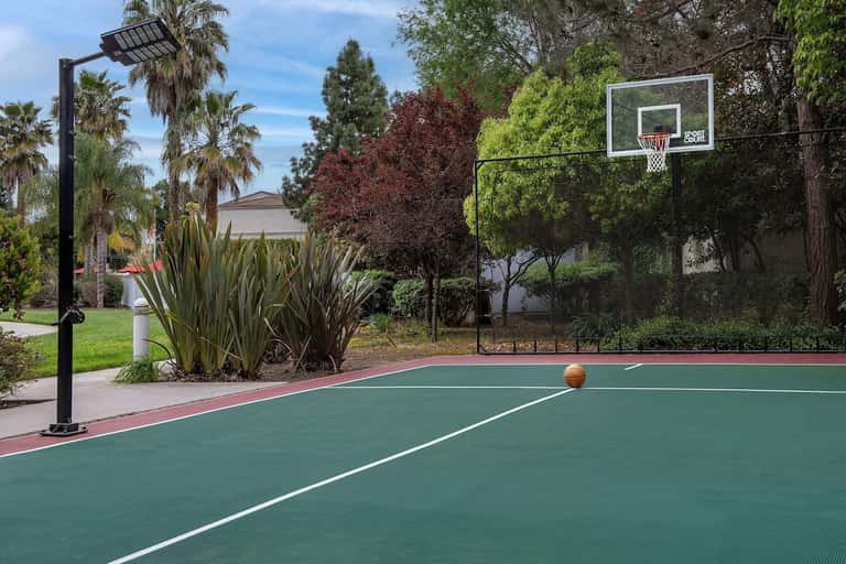 Outdoor sports court with basketball hoop, green playing surface, palm trees, and residential buildings surrounding the area