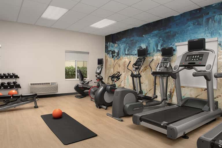 Modern fitness center with treadmill, stationary bikes, exercise equipment, dumbbells, and artistic blue wall mural