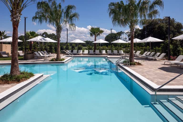 Rectangular lap pool with palm trees, white umbrellas, and multiple lounge chairs in sunny setting