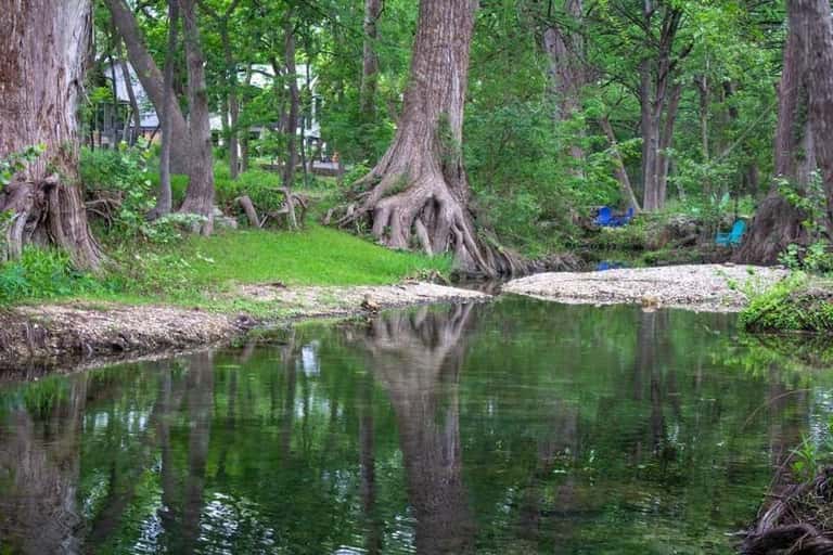 Peaceful cypress swamp with large trees reflected in still water and green banks