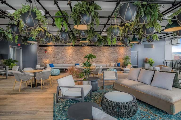 Contemporary lounge space with hanging planters, brick accent wall, wood seating, and abundant natural light