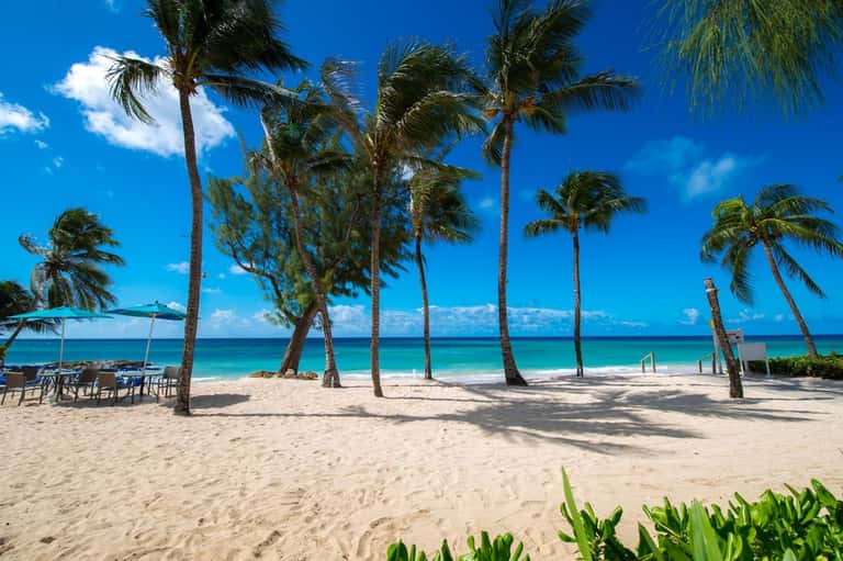 Pristine tropical beach with palm trees, turquoise water, white sand, and beach loungers under umbrellas