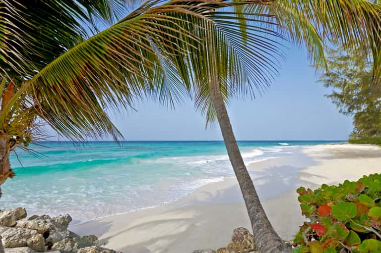 Secluded Caribbean beach with palm tree, crystal clear turquoise water, white sand, and rocky coastline