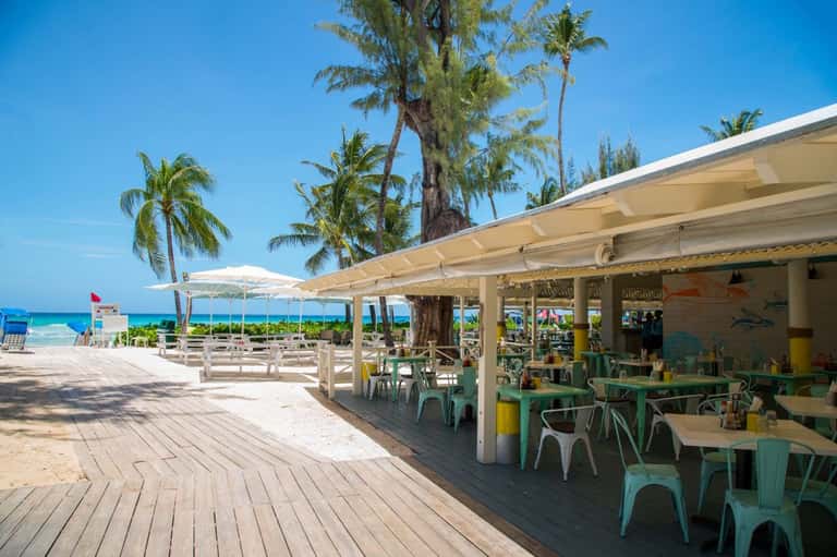 Beachfront restaurant with covered seating, mint green chairs, palm trees, white umbrellas, and ocean horizon