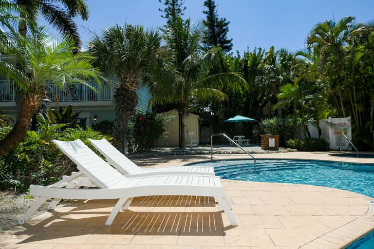 Resort pool with white lounge chairs, tall palm trees, and residential buildings in background