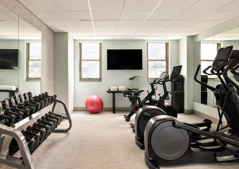 Contemporary fitness center with cardio equipment, dumbbells, exercise ball, TV monitor, and bright windows overlooking the city.
