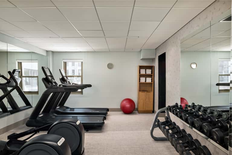 Bright fitness studio with treadmills, stationary bikes, dumbbells, red exercise balls, mirrored walls, and large windows with natural light.