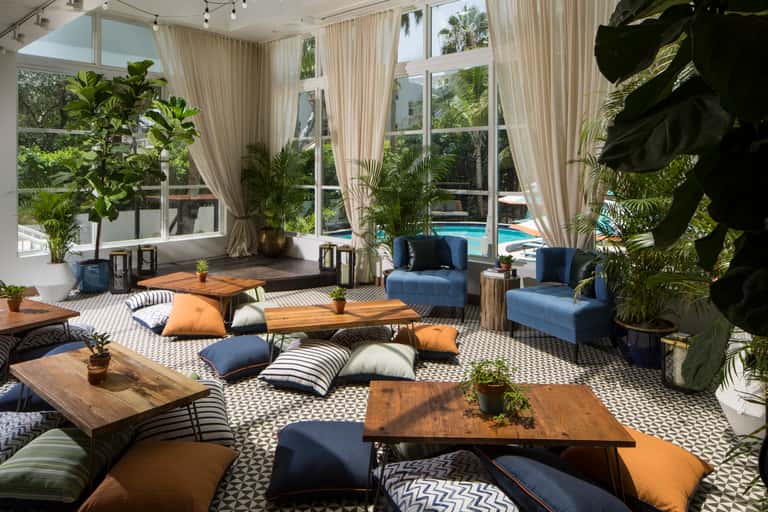 Bright indoor lounge with blue armchairs, wooden tables, tropical plants, patterned rug, and pool view through large windows
