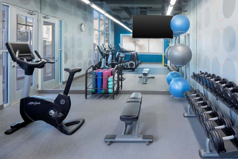 Contemporary fitness center with exercise bikes, dumbbells, stability balls, and cardio equipment in a bright, open space