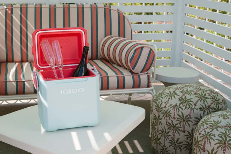 Striped lounge chair with red and gray cushions, cooler, and palm tree privacy screen