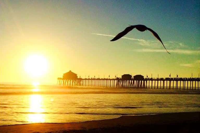 Sunset over a beach pier with a kite flying in the golden sky