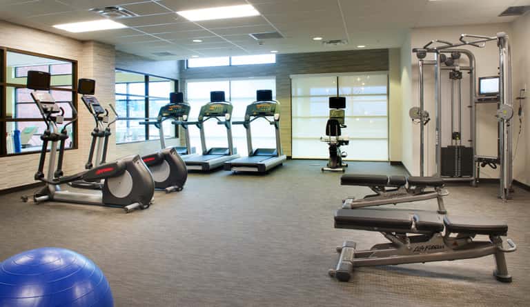 Modern gym with treadmills, elliptical machines, weight equipment, exercise ball, and large windows with city views