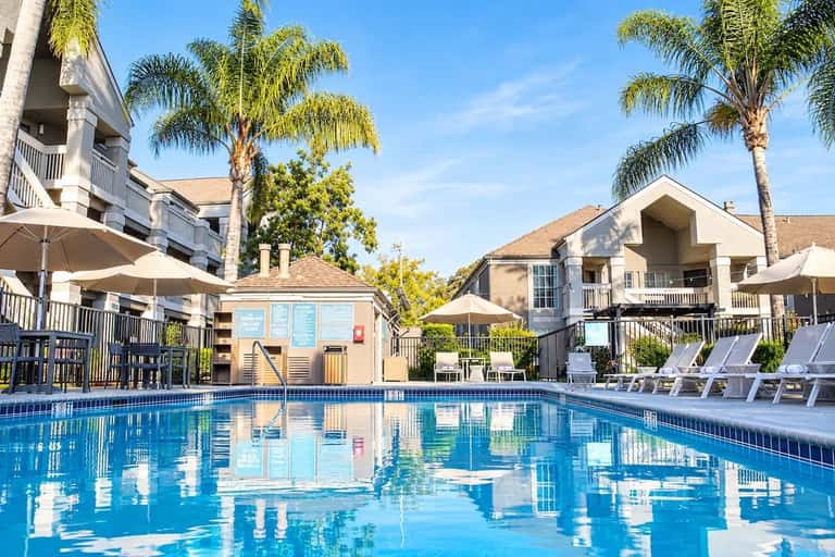 Resort swimming pool with lounge chairs, palm trees, and multi-story residential buildings under clear blue sky