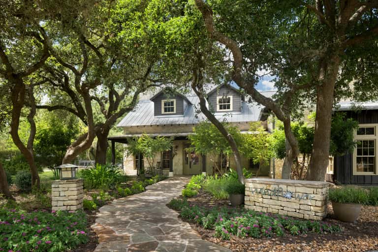 Modern farmhouse with stone entry pathway lined by mature oak trees and purple flowering plants