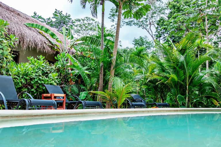 Tropical pool surrounded by lush palm trees and thatched-roof buildings
