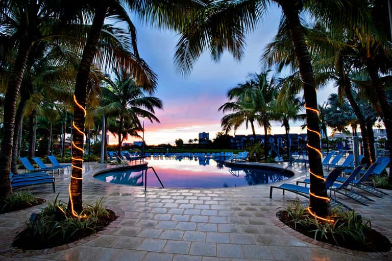 Resort pool at dusk surrounded by palm trees with illuminated trunks and blue lounge chairs