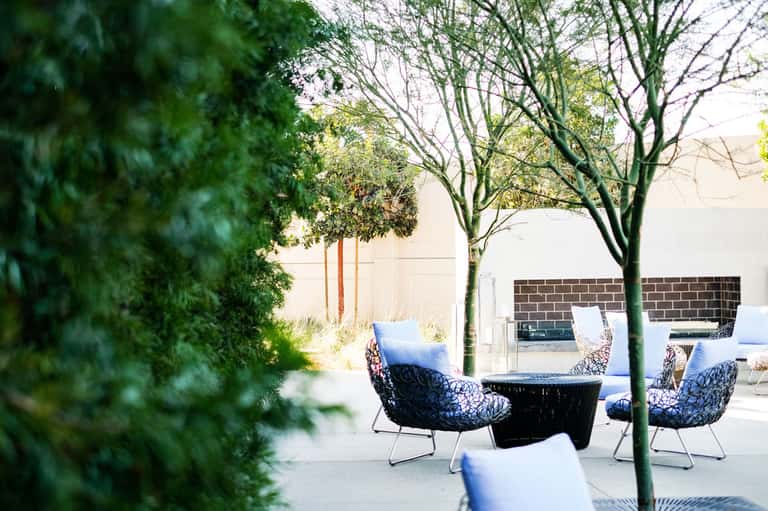 Outdoor patio seating area with woven black chairs, blue cushions, and decorative trees