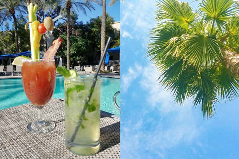 Tropical cocktails by poolside with palm trees and clear blue sky
