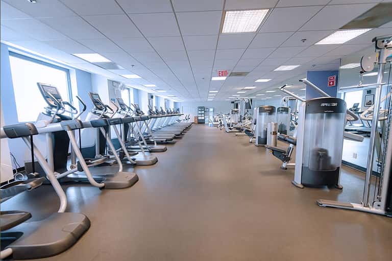 Modern fitness center with rows of cardio equipment and strength training machines