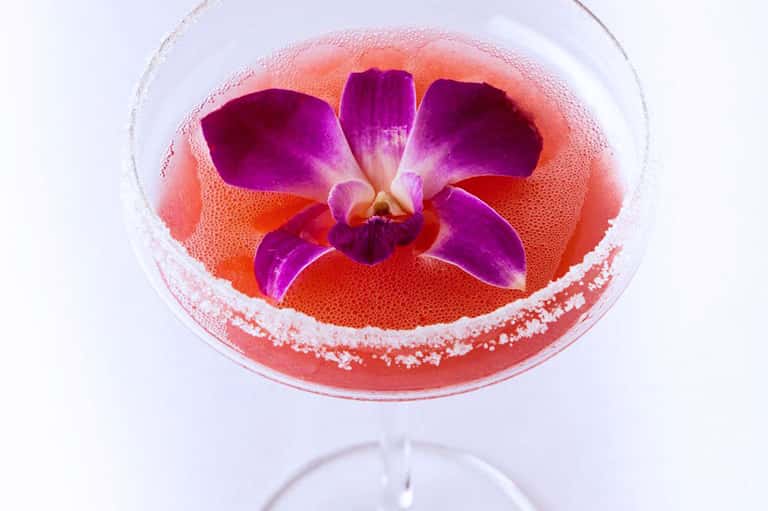 Purple orchid flower floating in a coral-colored cocktail with salt rim in a martini glass