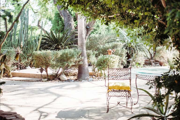 Desert garden patio with vintage metal chair, cacti, and palm trees in dappled sunlight