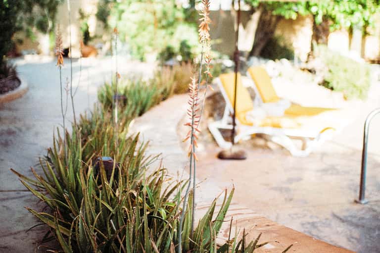 Desert landscape with yellow lounge chairs, desert plants, and architectural elements in soft focus