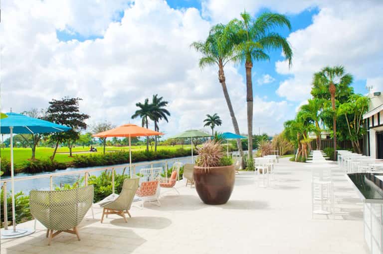 Waterfront resort terrace with palm trees, lounge chairs, and colorful umbrellas