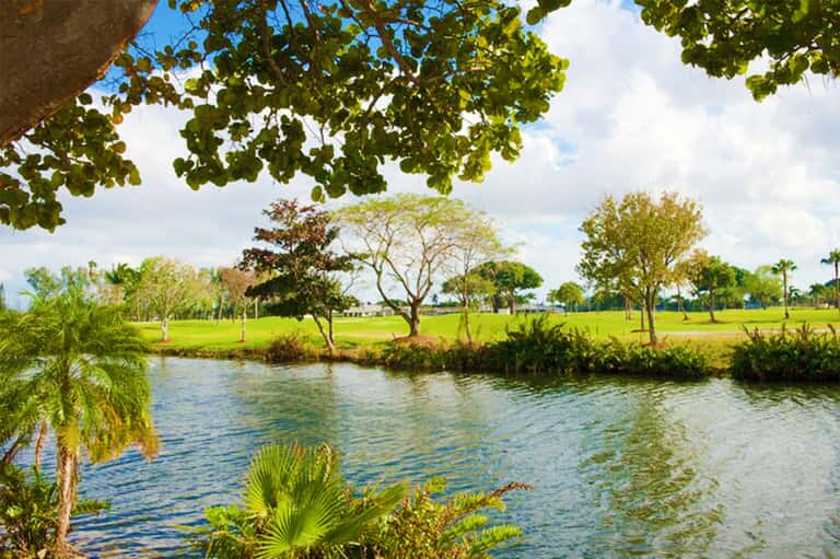 Scenic riverside landscape with lush green grass, trees, and calm water under cloudy sky