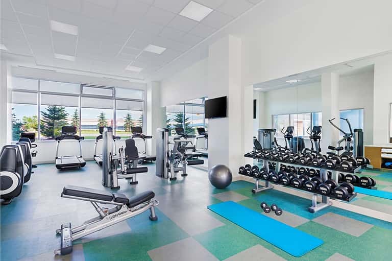 Modern gym facility with cardio equipment, weights, dumbbells, and large windows
