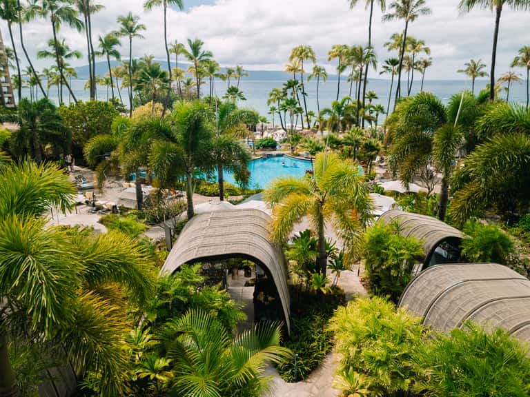 Adult Pool - Hale Ho’omalu