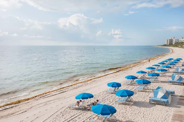 Family Beach Daybed