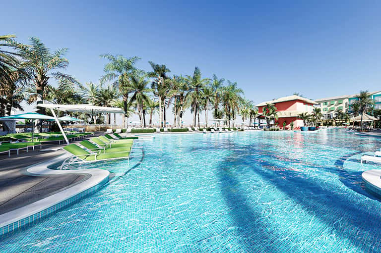 Fins Up! Pool Day Pass