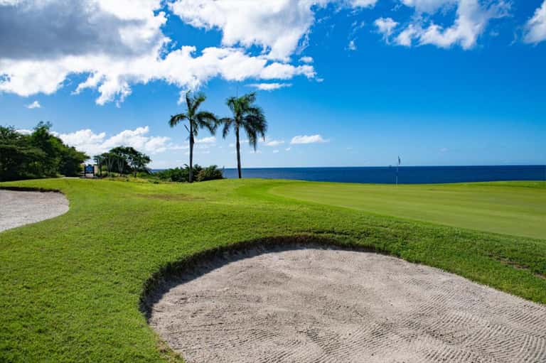 Golfers Delight