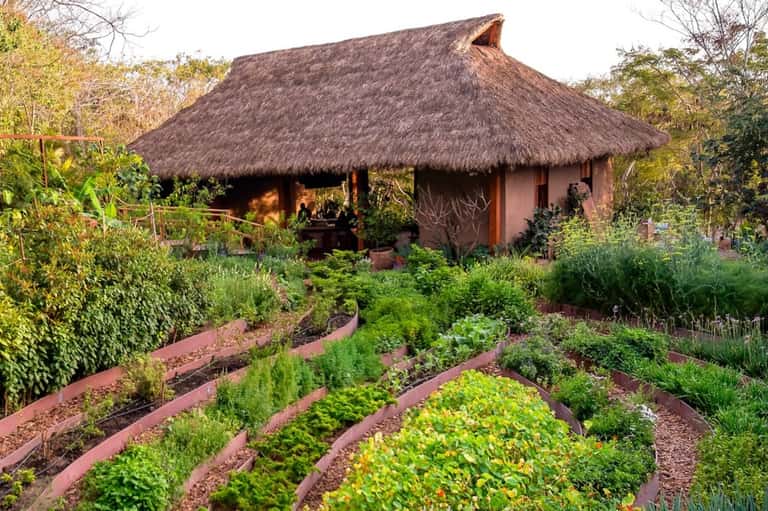 La Palapa – Agave Experience by Rubra