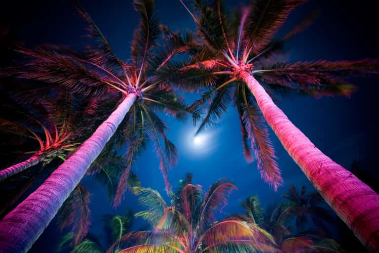 American Neon Nights: Pool Parties