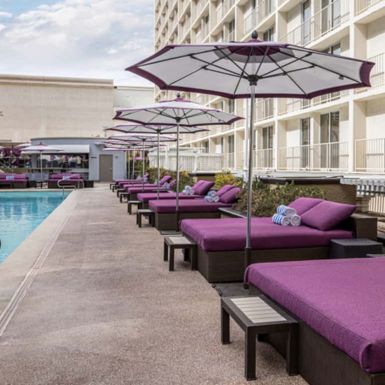 Premium Poolside Daybed
