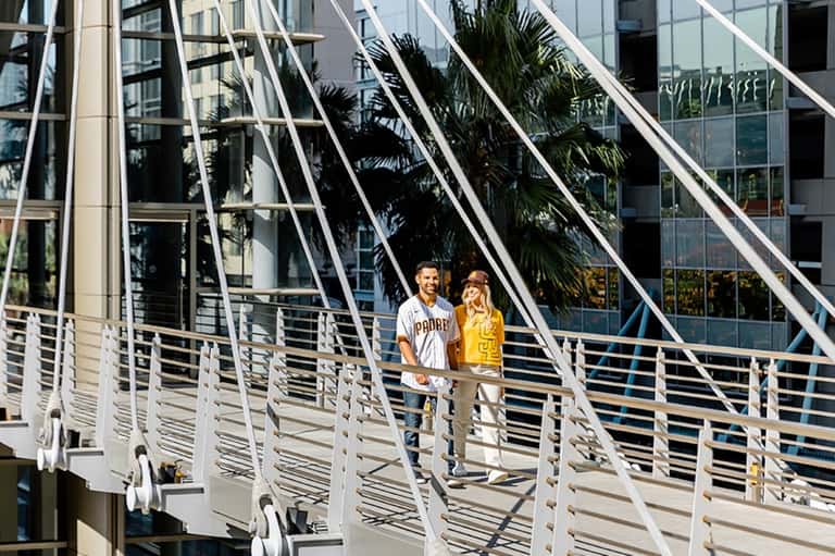 Omni Skybridge Access