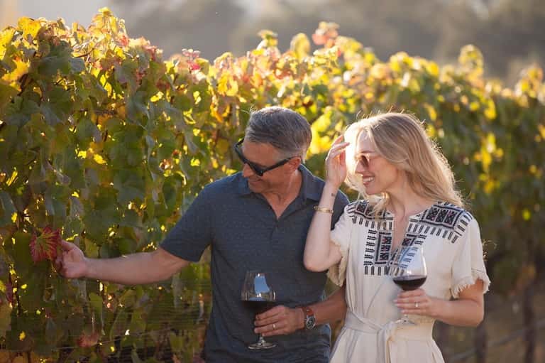 A Vineyard Stroll